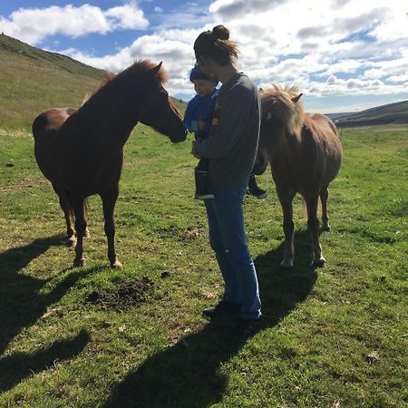 Öndólfsstaðir Farm B&B Laugar  Dış mekan fotoğraf
