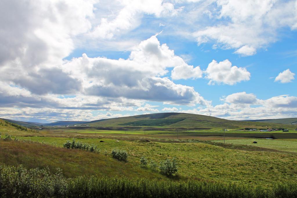 Öndólfsstaðir Farm B&B Laugar  Dış mekan fotoğraf