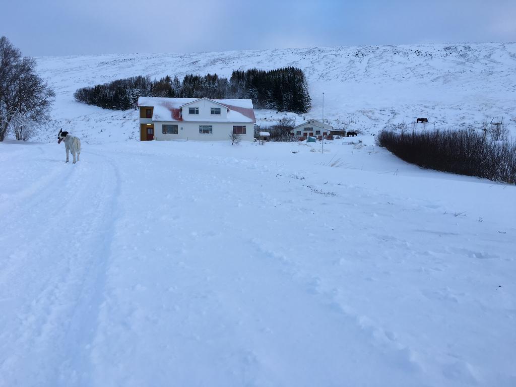 Öndólfsstaðir Farm B&B Laugar  Dış mekan fotoğraf