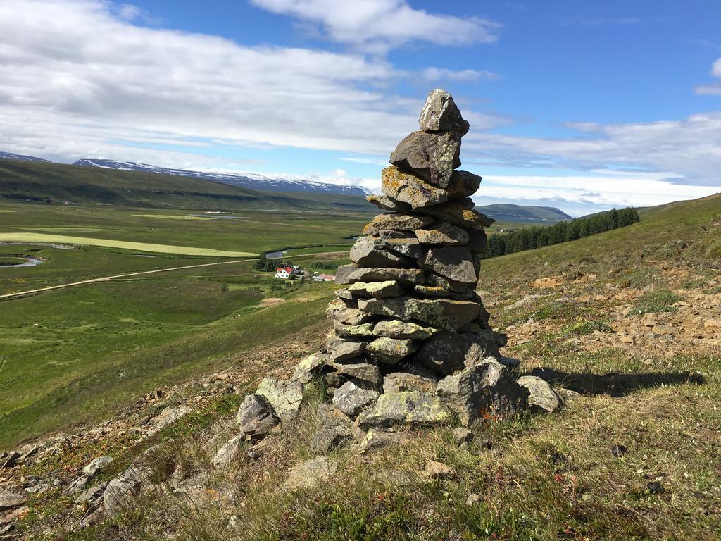Öndólfsstaðir Farm B&B Laugar  Dış mekan fotoğraf