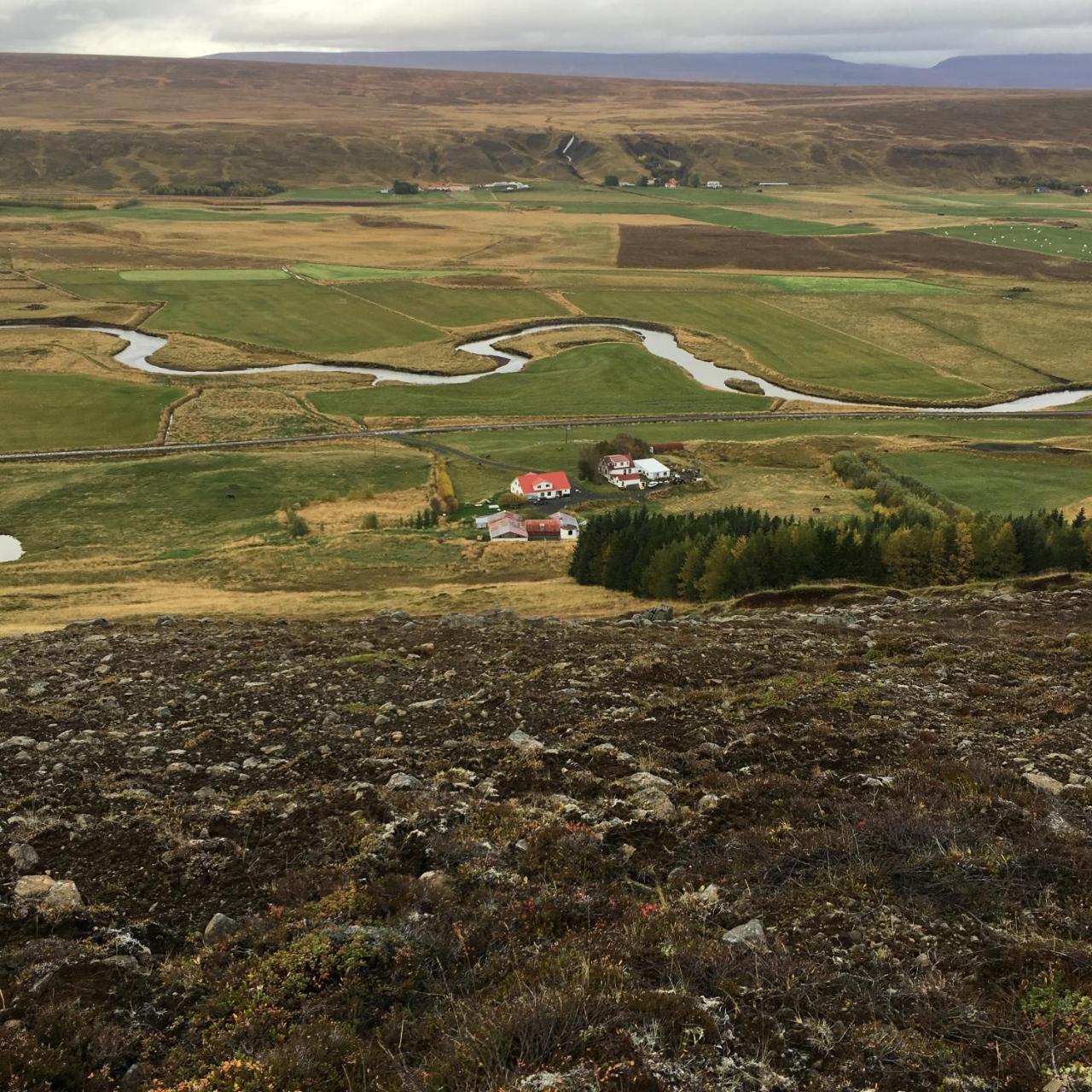 Öndólfsstaðir Farm B&B Laugar  Dış mekan fotoğraf