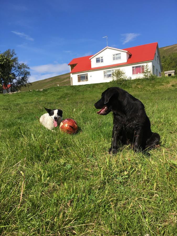 Öndólfsstaðir Farm B&B Laugar  Dış mekan fotoğraf